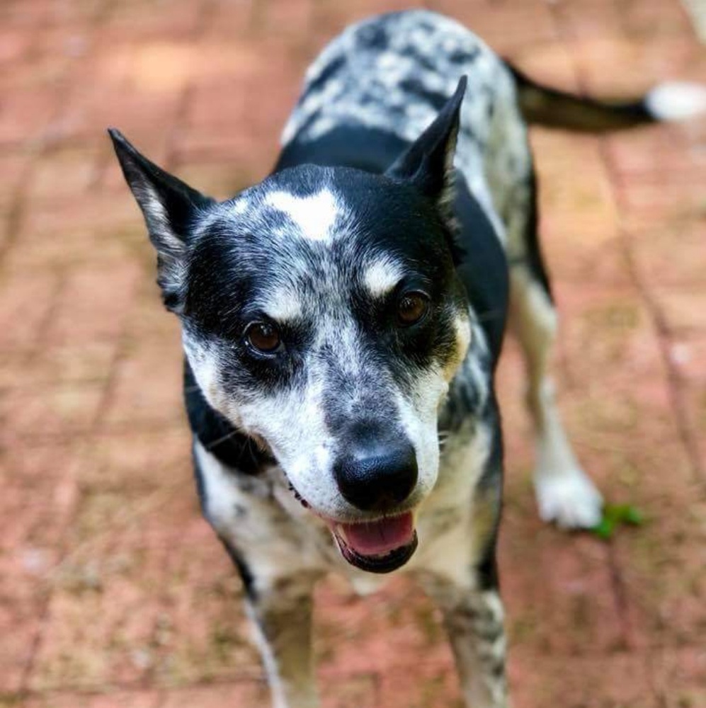 Meet your Posher, Zoe